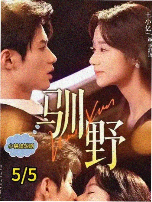 凤凰传媒出品剧集灯下故人海报